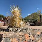 Taliesin West gallery item thumbnail 1